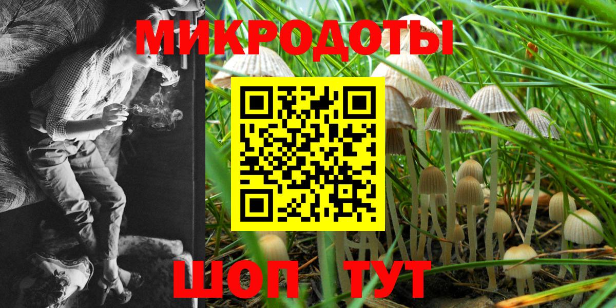 Псилоцибиновые грибы MAGIC MUSHROOMS  Вход с VPN  Электросталь  Галлюциногенные грибы Psilocybe 